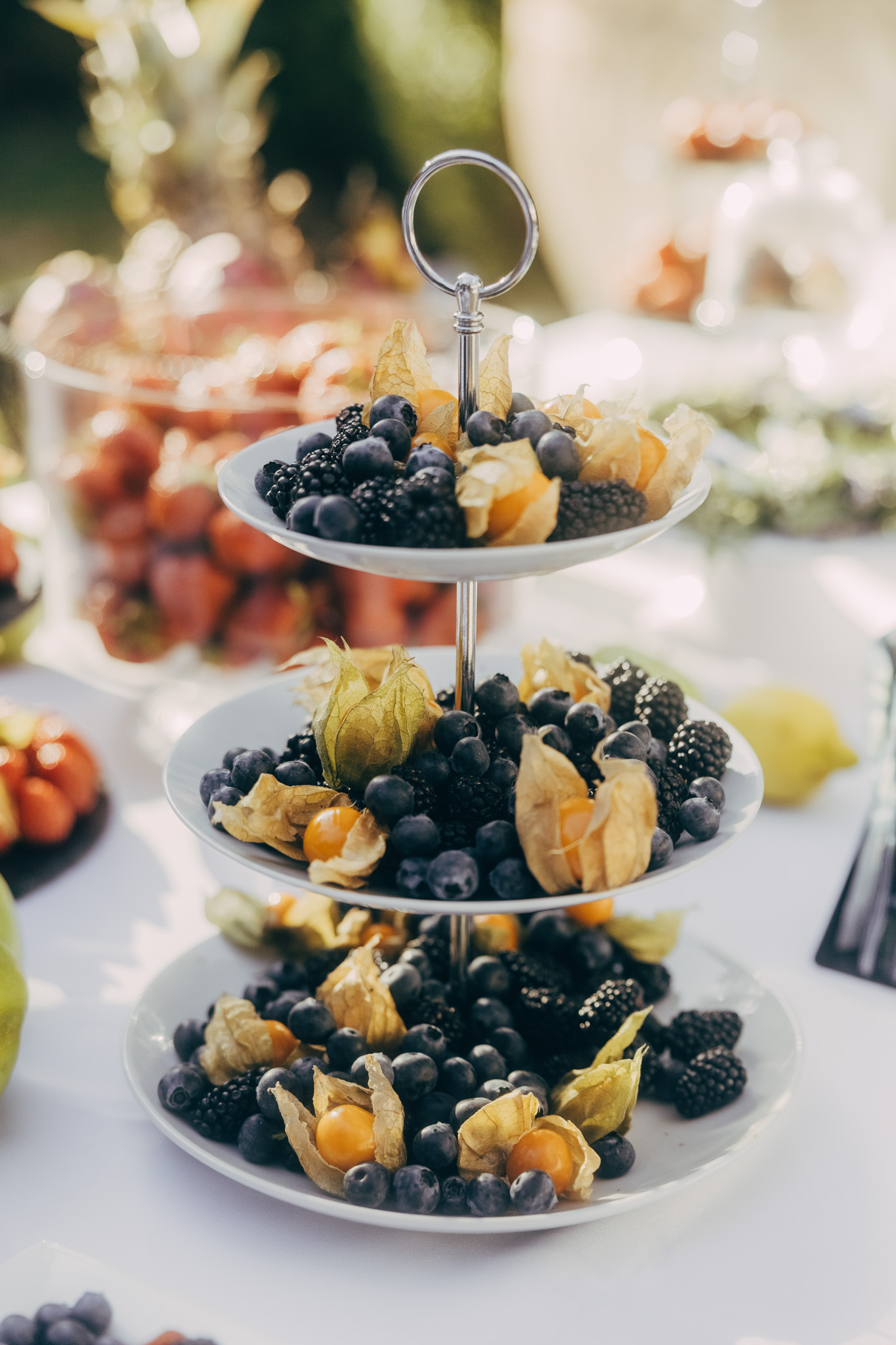 2025-06-25-PalaisAuersperg_ElephantCatering-0001-683x1024