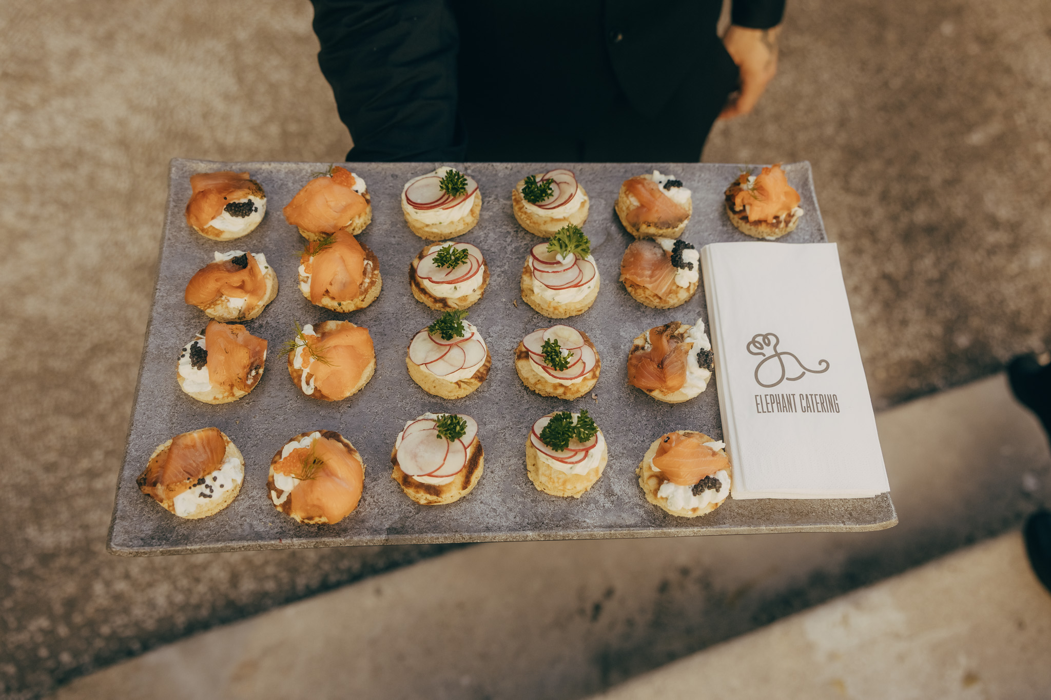 2025-06-25-PalaisAuersperg_ElephantCatering-0025-1024x683