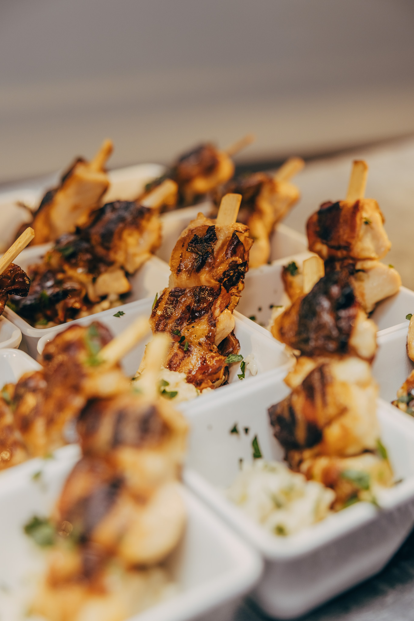 2025-08-28-PalaisWertheim_ElephantCatering-0010-683x1024