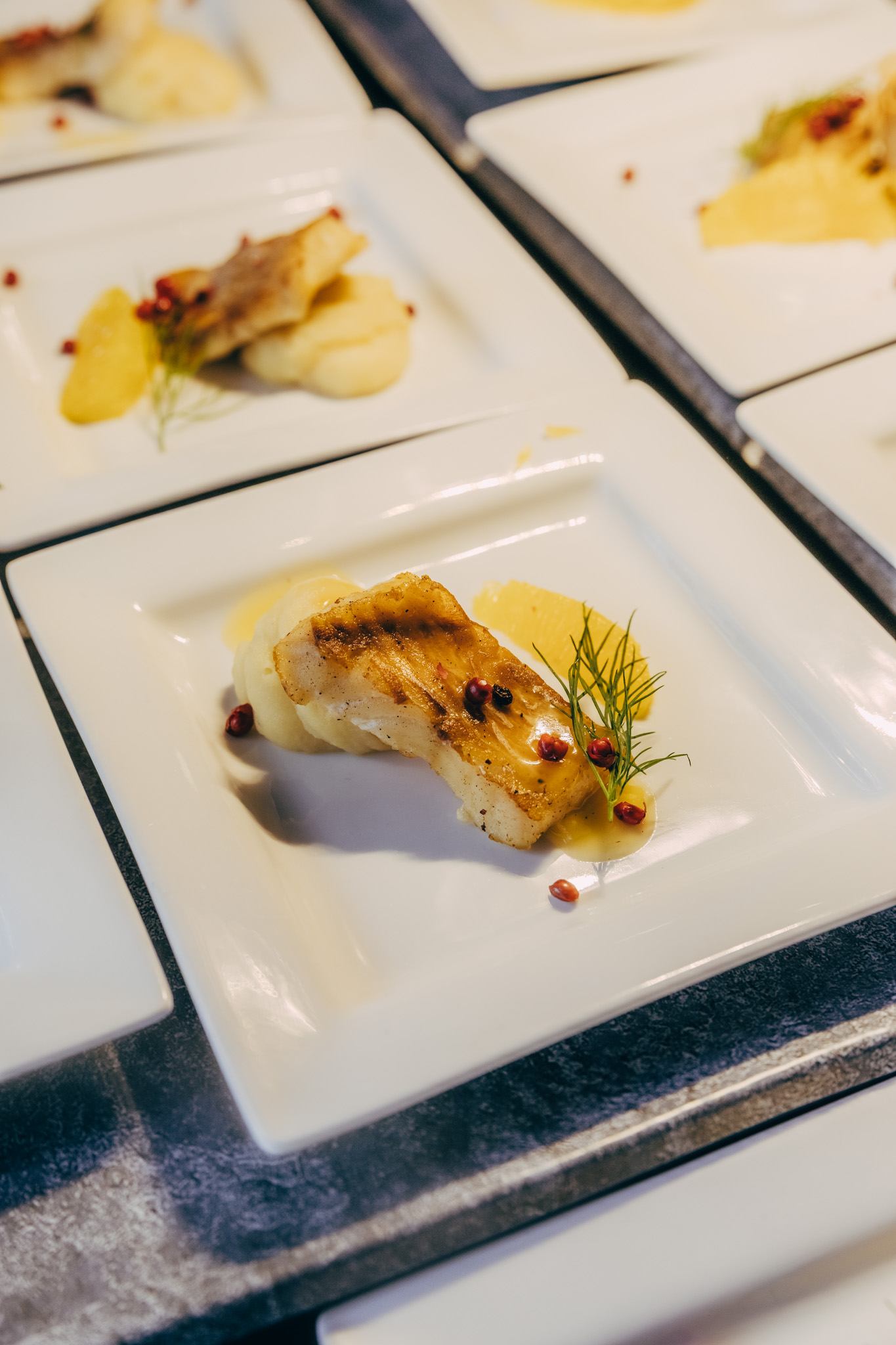 2025-08-28-PalaisWertheim_ElephantCatering-0040-683x1024