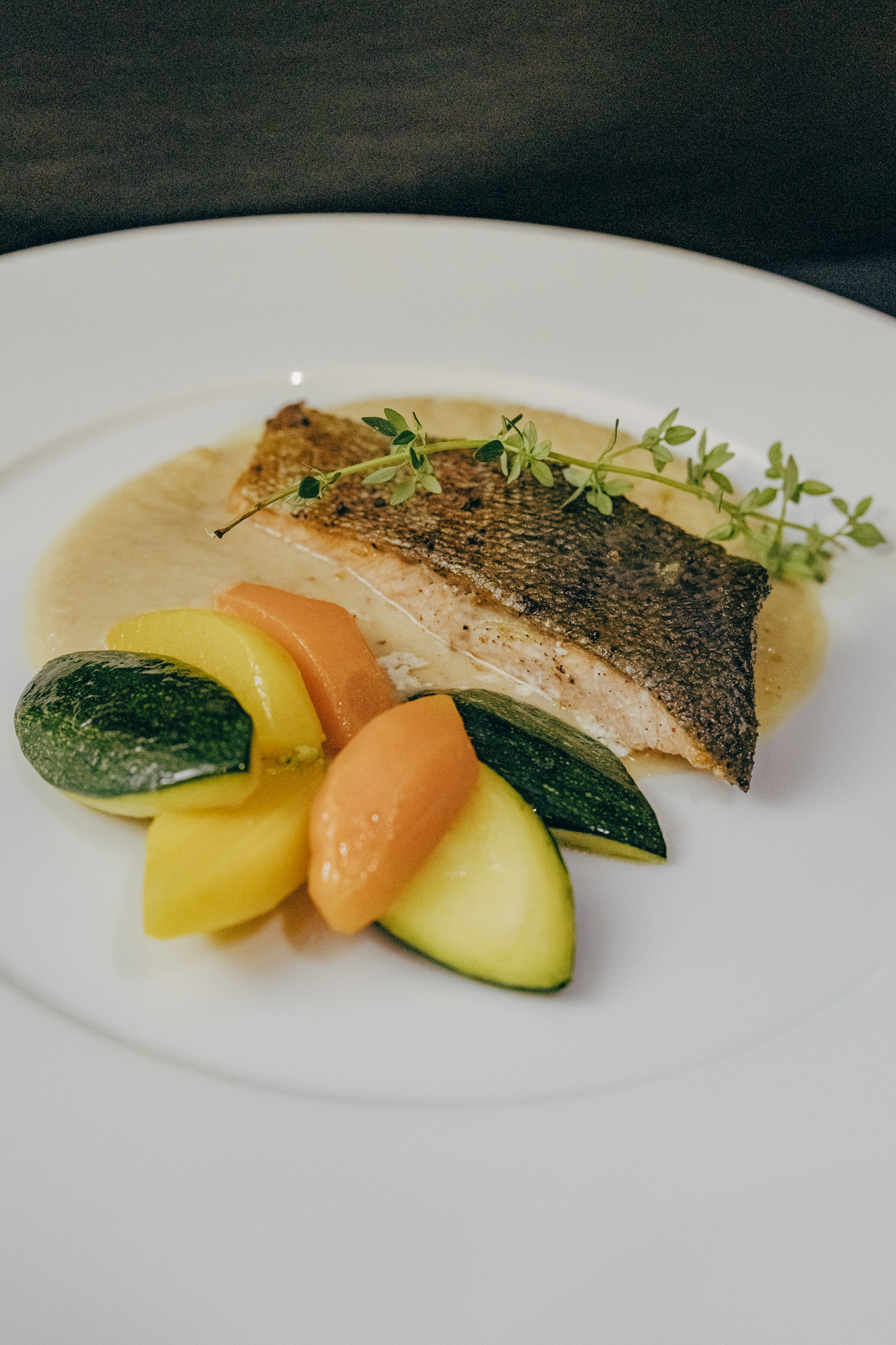 2025-08-28-PalaisWertheim_ElephantCatering-0091-683x1024