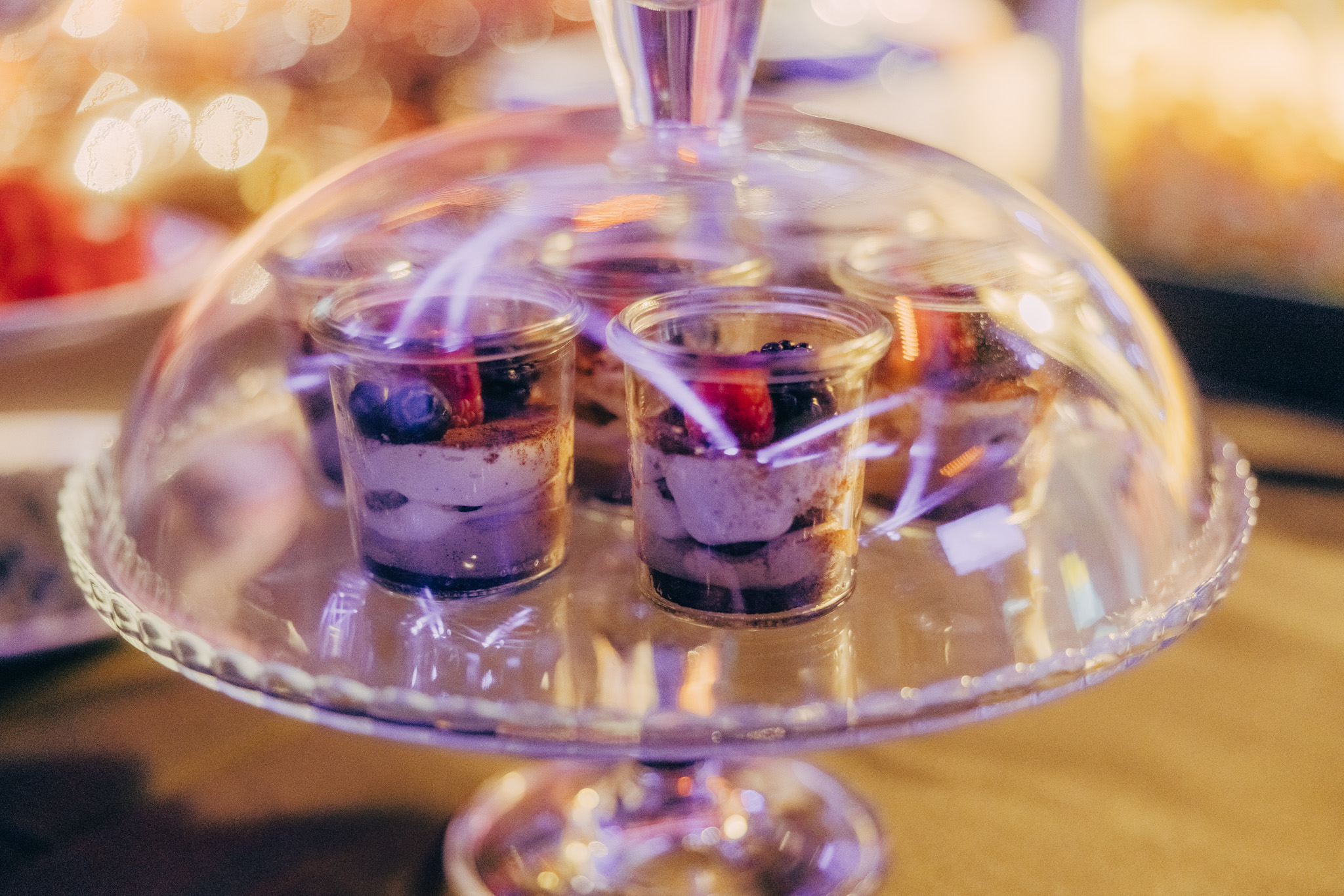 2025-10-02-PalaisWertheim_Elephant-Catering-0030-©-maxroedercom_-1024x683