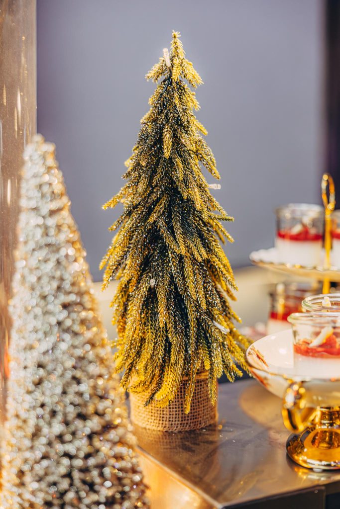 2025-12-16 Palais Wertheim Berg_ElephantCatering 0006