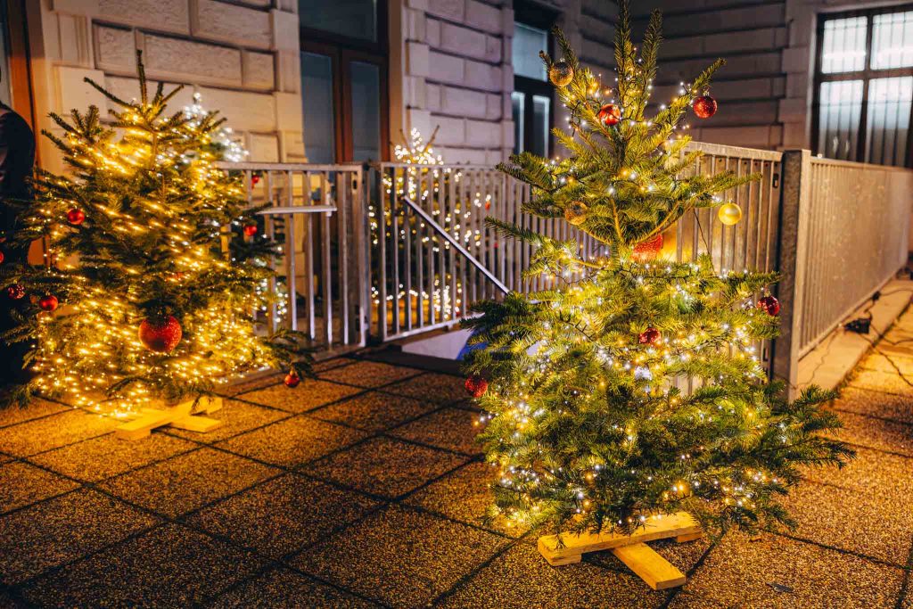 2025-12-16 Palais Wertheim Berg_ElephantCatering 0047